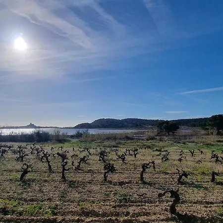 Gruissan-port-t2-2chambres-5pers-43m2-climatise-parking-valfred